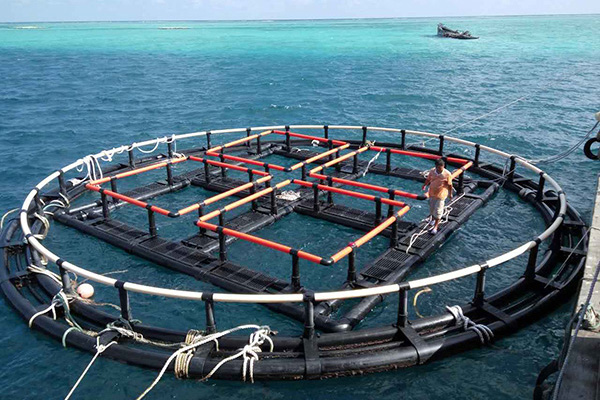 荆门深海奇迹、水下牧场：探索深海养鱼网箱在水产养殖中的新可能